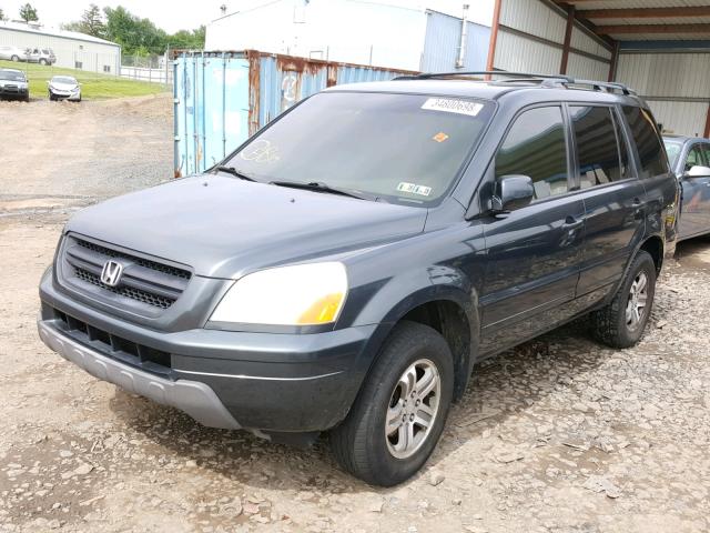 2HKYF18493H546446 - 2003 HONDA PILOT EX BLUE photo 2