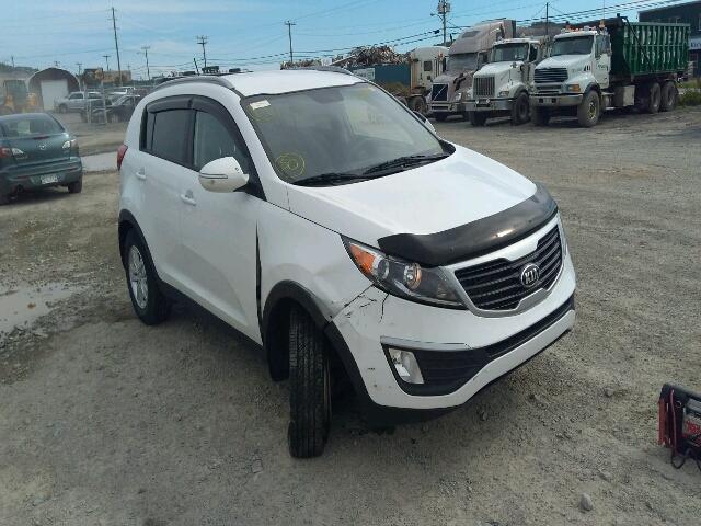 KNDPB3A23D7522239 - 2013 KIA SPORTAGE B WHITE photo 1