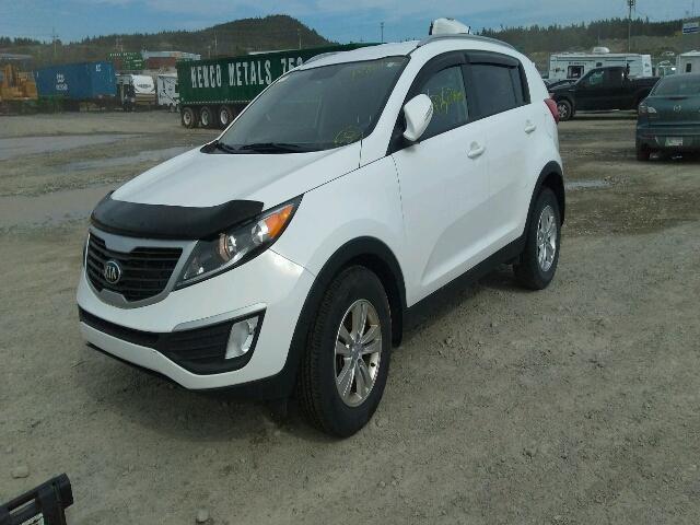 KNDPB3A23D7522239 - 2013 KIA SPORTAGE B WHITE photo 2