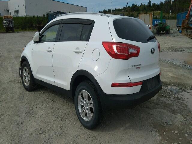 KNDPB3A23D7522239 - 2013 KIA SPORTAGE B WHITE photo 3