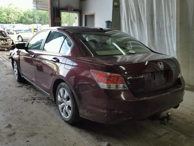 1HGCP26849A024277 - 2009 HONDA ACCORD EXL BURGUNDY photo 3