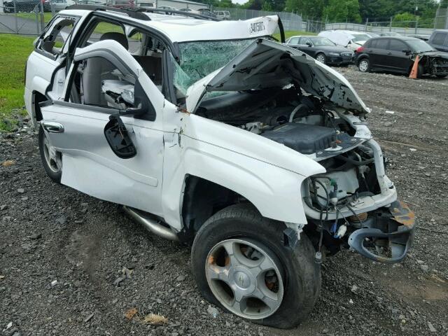 1GNDT13S662359630 - 2006 CHEVROLET TRAILBLAZE WHITE photo 1