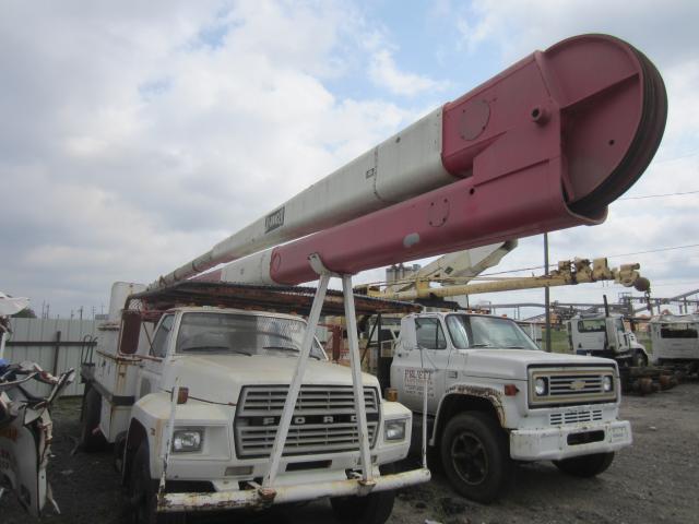 1FDPF82K4BVJ08520 - 1981 FORD F800 WHITE photo 8