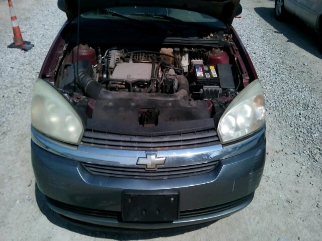 1G1ZT628X5F175163 - 2005 CHEVROLET MALIBU MAX 红色 照片 7