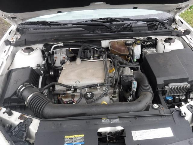 1G1ZS64845F175207 - 2005 CHEVROLET MALIBU MAX 白色 照片 7