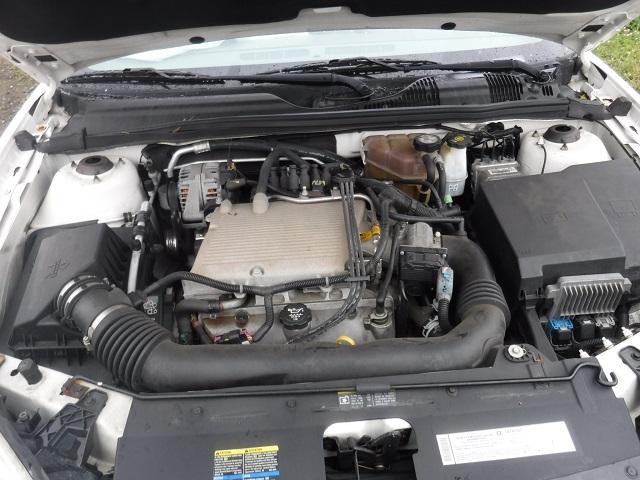 1G1ZS64845F175207 - 2005 CHEVROLET MALIBU MAX WHITE photo 7