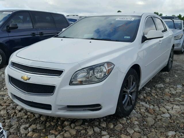 1G1ZC5EU0BF395250 - 2011 CHEVROLET MALIBU 1LT 白色 照片 2