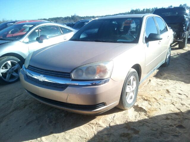 1G1ZT54885F163312 - 2005 CHEVROLET MALIBU LS Qəhvəyi foto 2