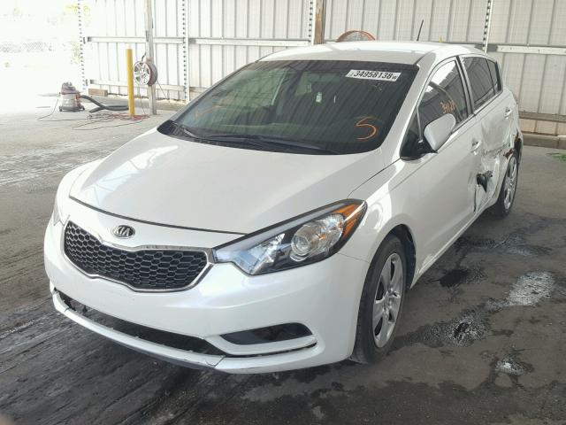 KNAFK5A84G5592454 - 2016 KIA FORTE LX WHITE photo 2