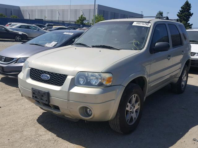 1FMYU04155KB10091 - 2005 FORD ESCAPE LIM GOLD photo 2