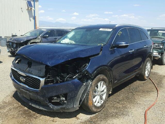 5XYPGDA32HG253580 - 2017 KIA SORENTO BLUE photo 2