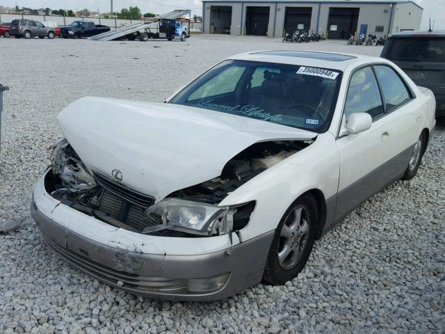 JT8BF22G6V0069522 - 1997 LEXUS ES 300 WHITE photo 2