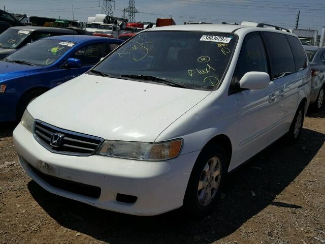 5FNRL18884B113264 - 2004 HONDA ODYSSEY WHITE photo 2