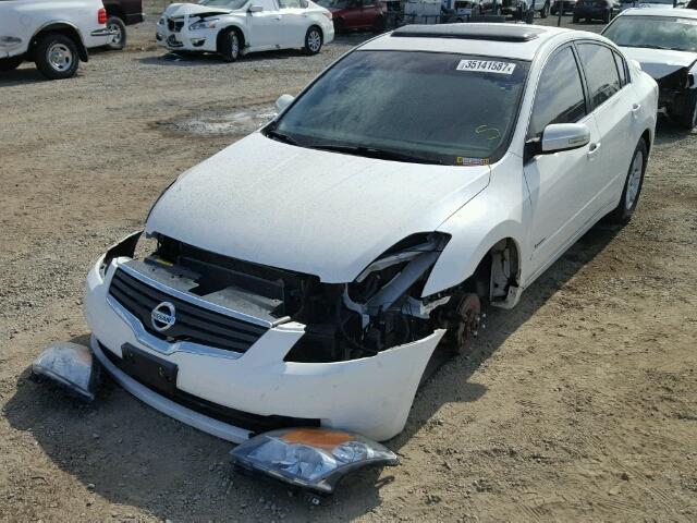 1N4CL21E68C135946 - 2008 NISSAN ALTIMA HYB WHITE photo 2