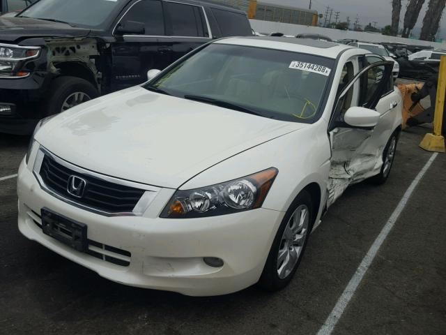 1HGCP368X8A042240 - 2008 HONDA ACCORD EXL WHITE photo 2