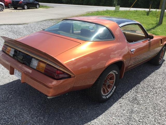 1P87LAL541112 - 1980 CHEVROLET CAMARO Z28 GOLD photo 3