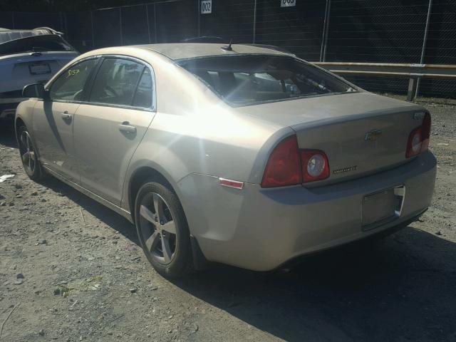 1G1ZC5E17BF301337 - 2011 CHEVROLET MALIBU 1LT 金色 照片 3