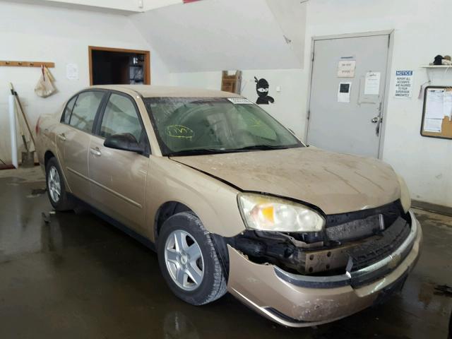 1G1ZT54805F135083 - 2005 CHEVROLET MALIBU LS BEIGE photo 1