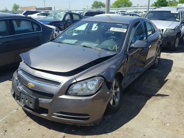 1G1ZC5EU8BF103053 - 2011 CHEVROLET MALIBU 1LT 棕色 照片 2