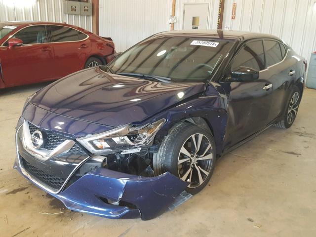 1N4AA6AP6GC432042 - 2016 NISSAN MAXIMA 3.5 BLUE photo 2