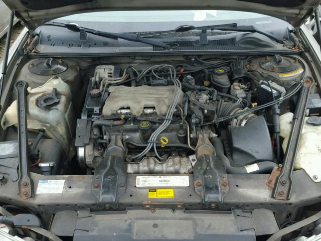 2G1WL52M1W9262938 - 1998 CHEVROLET LUMINA BAS ბეჟი ფოტო 7