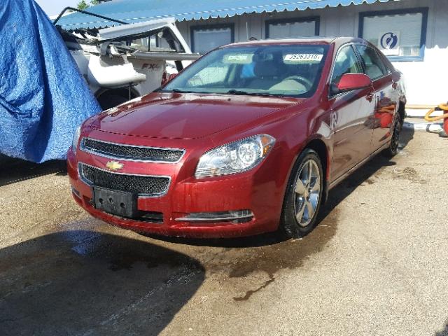 1G1ZD5E1XBF221186 - 2011 CHEVROLET MALIBU 2LT MAROON photo 2