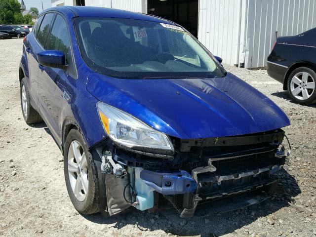 1FMCU0GXXGUA76943 - 2016 FORD ESCAPE SE BLUE photo 1