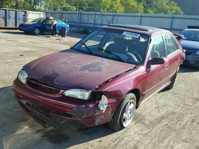 1NXBR18E0WZ095046 - 1998 TOYOTA COROLLA VE BURGUNDY photo 2