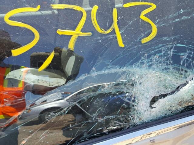 1G11C5SA4DF205914 - 2013 CHEVROLET MALIBU 1LT 棕色 照片 10