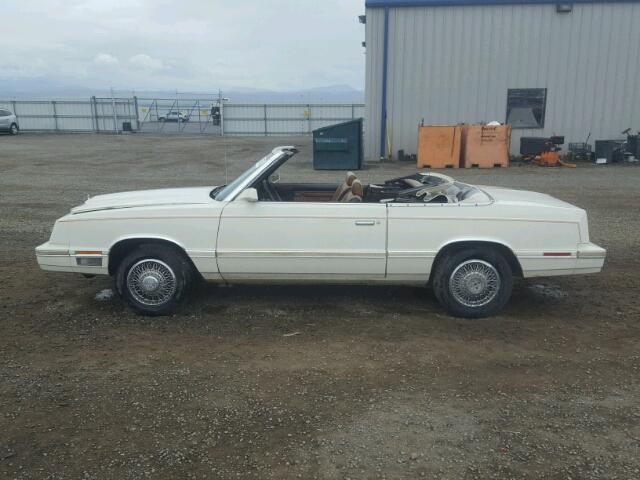 1C3BC55D3CG158969 - 1982 CHRYSLER LEBARON ME WHITE photo 9