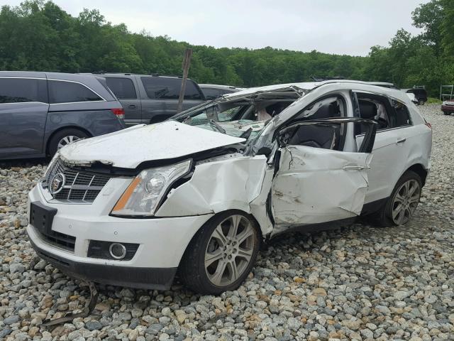 3GYFNEE30CS513252 - 2012 CADILLAC SRX PERFOR 白色 照片 2
