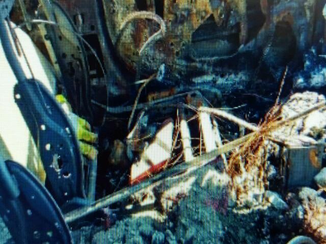 1G1ZC5EUXBF320331 - 2011 CHEVROLET MALIBU 1LT 烧焦的 照片 9