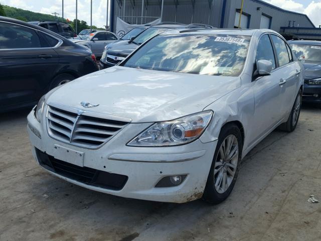 KMHGC4DFXBU114428 - 2011 HYUNDAI GENESIS 4. WHITE photo 2