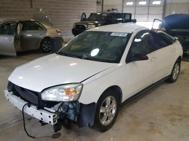 1G1ZT62855F264221 - 2005 CHEVROLET MALIBU MAX 白色 照片 2