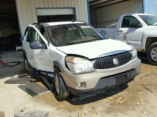 3G5DB03E65S552564 - 2005 BUICK RENDEZVOUS TWO TONE photo 1