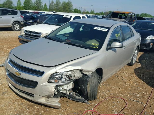 1G1ZB5E03CF309558 - 2012 CHEVROLET MALIBU LS GOLD photo 2