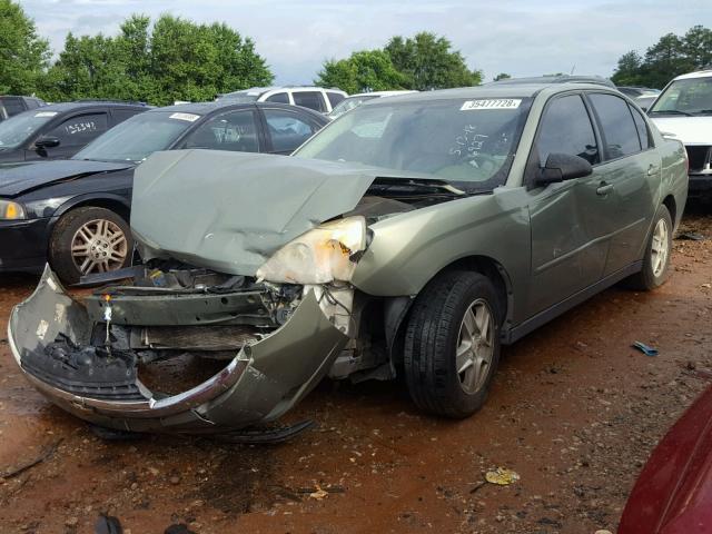 1G1ZT54875F276927 - 2005 CHEVROLET MALIBU LS GREEN photo 2