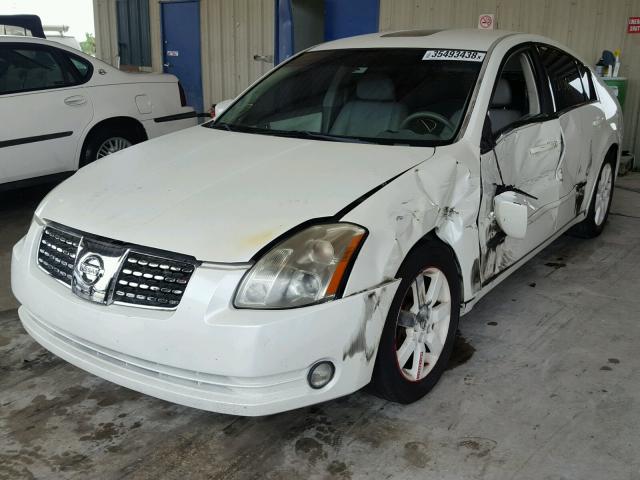 1N4BA41E94C905435 - 2004 NISSAN MAXIMA SE WHITE photo 2