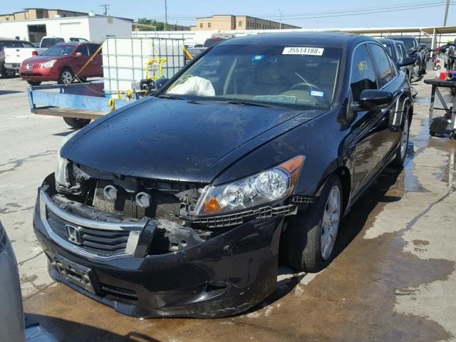 5KBCP3F85AB004573 - 2010 HONDA ACCORD EXL BLACK photo 2