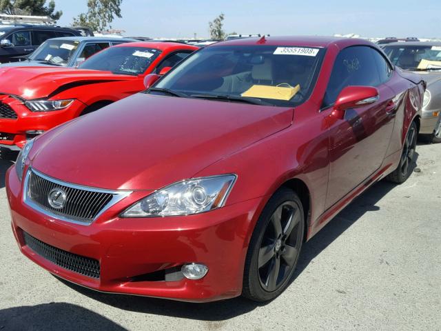 JTHFF2C20A2511696 - 2010 LEXUS IS 250 RED photo 2