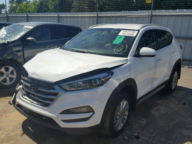 KM8J3CA46HU521156 - 2017 HYUNDAI TUCSON LIM WHITE photo 2