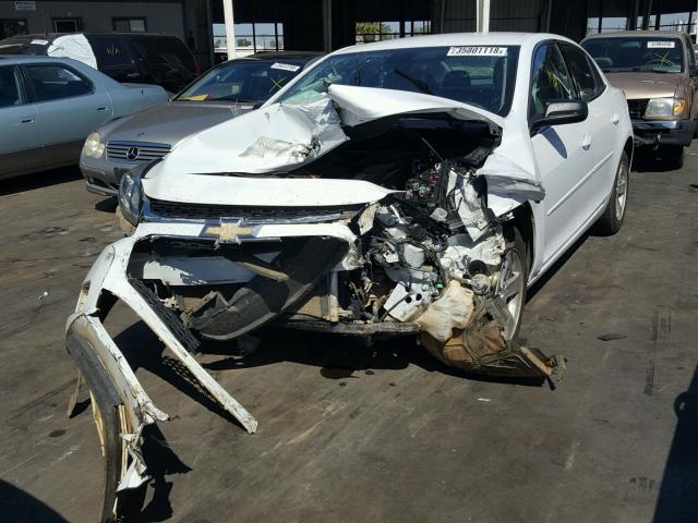 1G11B5SL0EF286612 - 2014 CHEVROLET MALIBU LS WHITE photo 2