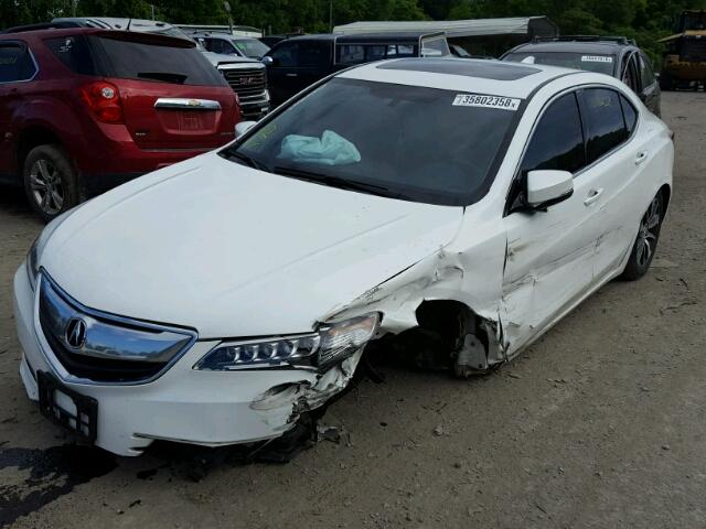 19UUB1F39FA008346 - 2015 ACURA TLX WHITE photo 2