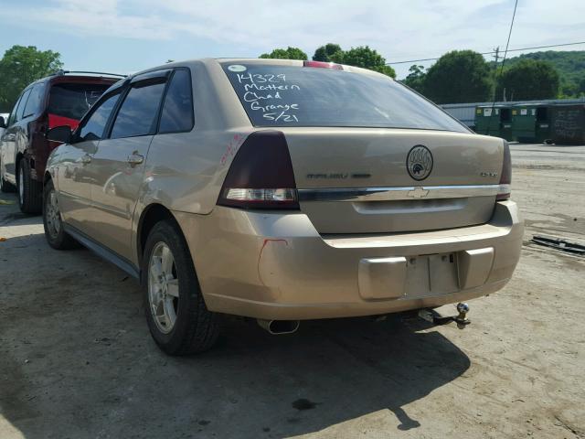 1G1ZT64854F146696 - 2004 CHEVROLET MALIBU MAX 金色 照片 3