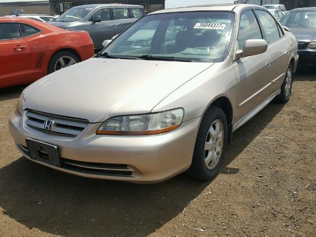 1HGCG56621A068492 - 2001 HONDA ACCORD GOLD photo 2