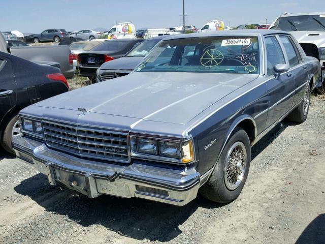 1G1AN69H2EX117619 - 1984 CHEVROLET CAPRICE CL TWO TONE photo 2