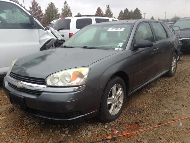 1G1ZT64894F199871 - 2004 CHEVROLET MALIBU MAX GRAY photo 2