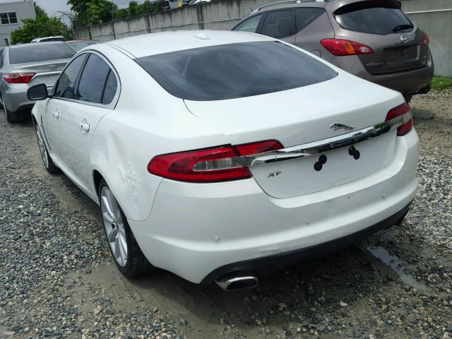 SAJWA0GB8BLR87741 - 2011 JAGUAR XF PREMIUM WHITE photo 3