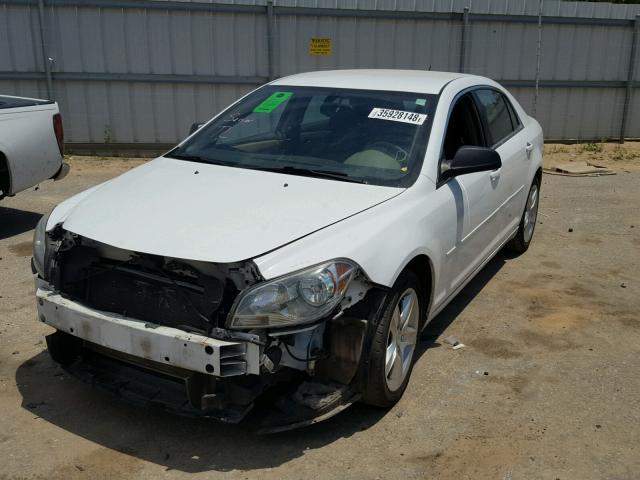 1G1ZA5EU4BF174675 - 2011 CHEVROLET MALIBU LS თეთრი ფოტო 2