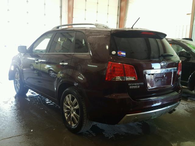 5XYKWDA27DG391016 - 2013 KIA SORENTO SX MAROON photo 3